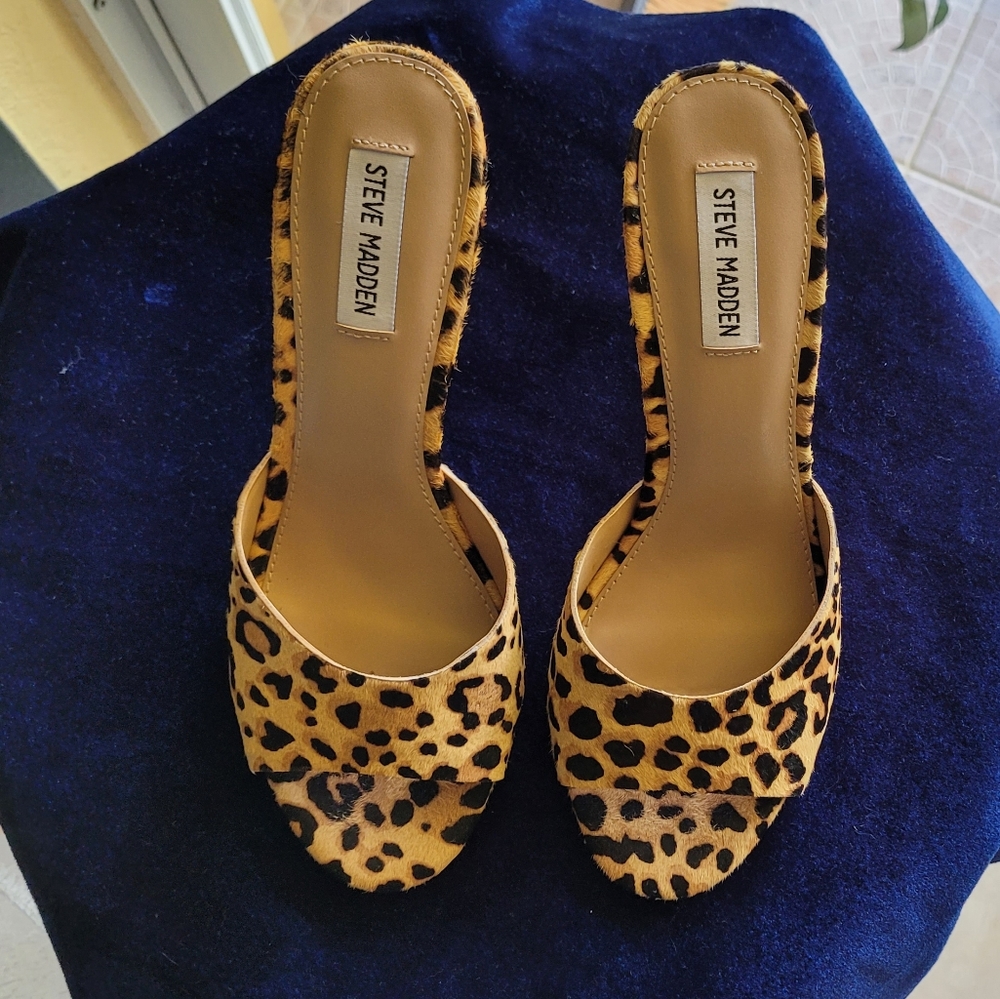 Steve Madden Cheeta Shoes